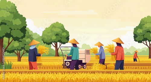 some people are harvesting rice 