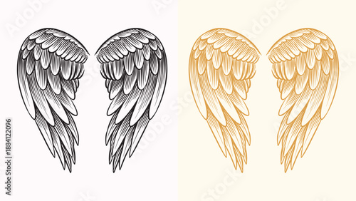 Beautiful detailed angel wings drawing for your collages. Biblical and religious context elements for your design. Hand drawn engraving with bird feathers, can be recognised as pigeon or other.