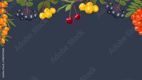 Summer vector background with mixed berries and leaves forming a colorful botanical frame. Dark blue backdrop with copy space for web banners, food advertising, social media and branding.