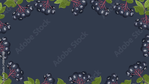 Aronia vector background with dark berries and green leaves. Elegant botanical fruit frame on dark backdrop for web design, food ads, packaging and seasonal layouts.