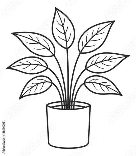 Hand drawn line art illustration of a potted plant depicting an indoor houseplant for home decor