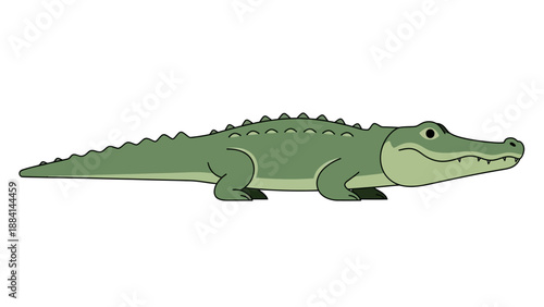 Cartoon green crocodile illustration with simple design
