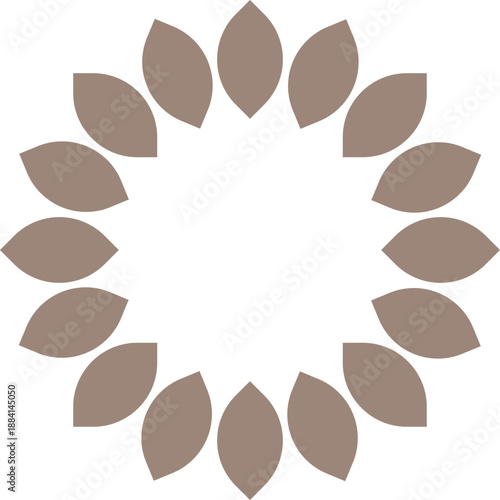 Slate grey Flower petal vector illustration design