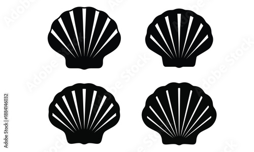 Seashell icon set isolated on white background

