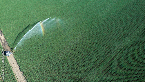 Billede på lærred Rotary sprinkler irrigates a vast green crop field from above, spraying water th