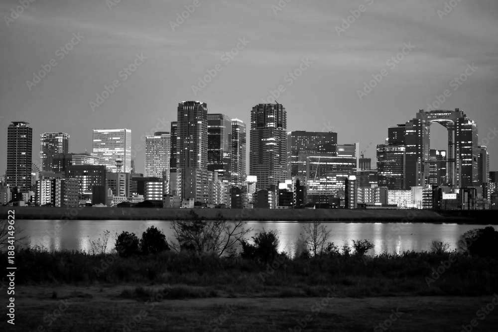 Obraz premium 淀川河川敷の風景