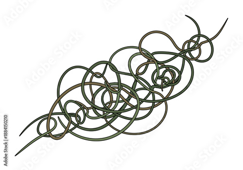 A twisted olive green wire sculpture against a clean white backdrop viewed from directly above