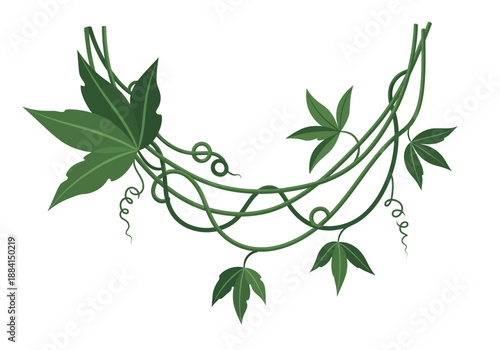 Vines and leaves illustration showcasing twisted stems and green foliage in a botanical artwork from a close-up viewpoint