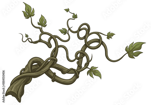 An intertwined vine with lush green leaves curls and twists in a captivating botanical illustration