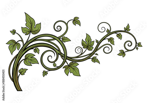 A serene illustration of vines and leaves curling around in a decorative pattern
