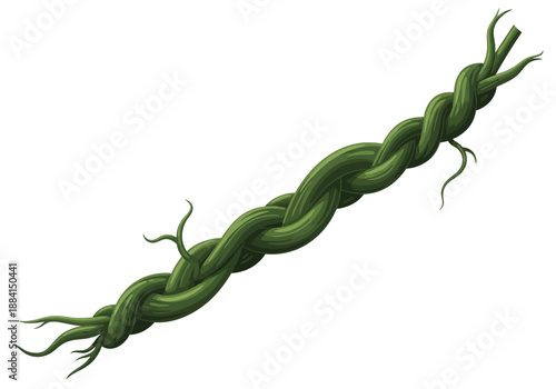 Twisted green vines illustration showcasing tendrils and foliage in a diagonal arrangement