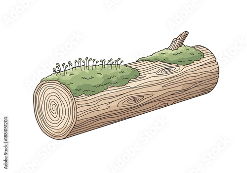 A detailed illustration of a log with greenery and sprouts growing on it, viewed from a slight angle.