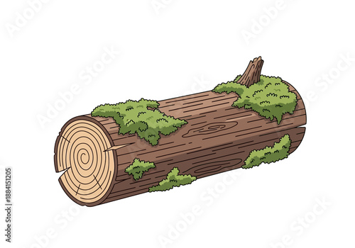 A detailed illustration of a fallen tree trunk with moss and lichen on its bark, viewed from a slight angle