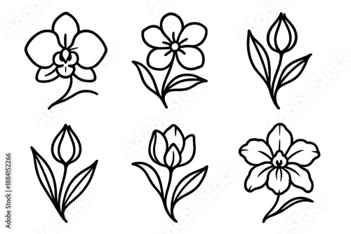 Exotic Botanical Icons. Exotic Botanics set in outline vector style : orchid-inspired curve, layered petals, slender leaf blade, rare bud shape, flowing stem, vivid bloom hint
