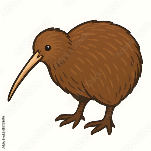 A kiwi bird illustration vector style 