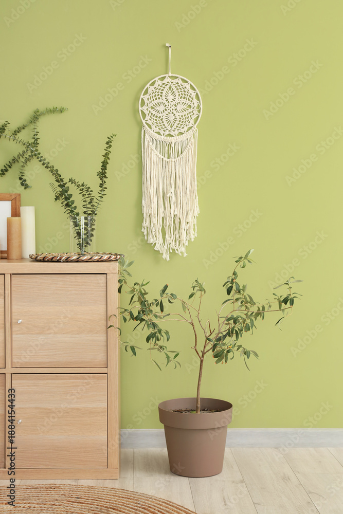 Fototapeta premium Vase with eucalyptus branches on chest of drawers near green wall in room
