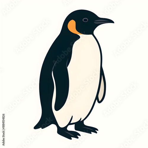 A penguin illustration vector style 