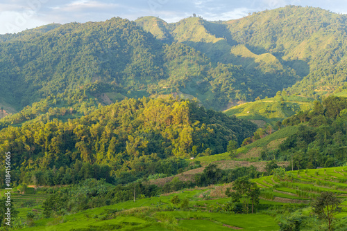 Lush green hills covered in dense forest rise above sunlit terraced rice fields in Dien Bien Phu, Vietnam. Soft afternoon light highlights the textures of the landscape and creates a tranquil, natural