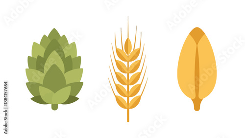 Flat design vector icons of green hop cone golden wheat ear and barley grain.