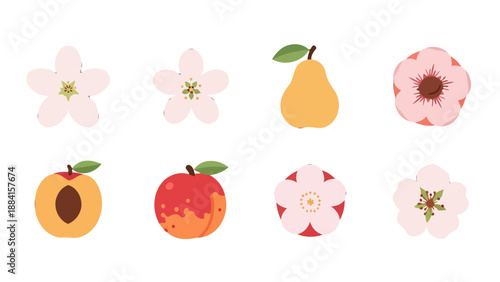 Colorful flat design fruit and flower vector illustrations featuring peaches a pear and various delicate blossoms.
