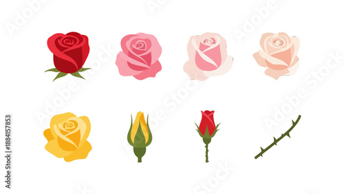 Colorful flat vector rose collection featuring diverse blooms buds and a thorny stem element.