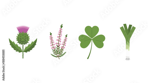 National plant emblems Scottish thistle heather Irish shamrock Welsh leek Flat vector illustration.