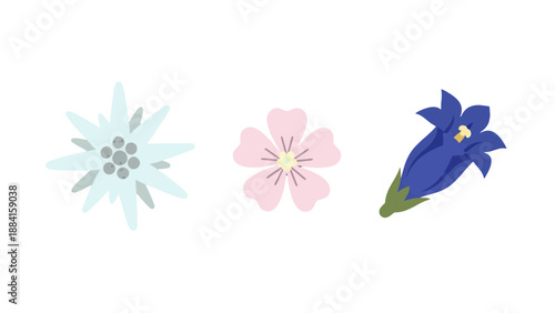 Stylized flat design illustrations of three distinct alpine flowers featuring simple shapes.