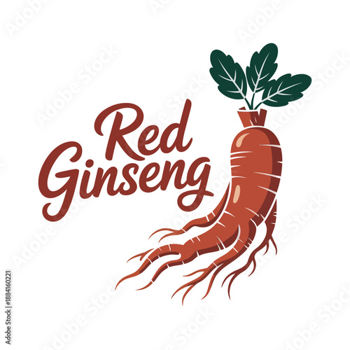 Root vegetable illustration highlights the therapeutic benefits of red ginseng for health.