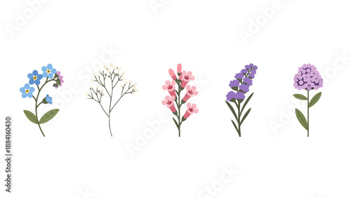 Vibrant flat design floral illustrations blue forgetmenots delicate babys breath pink bell flowers purple lavender and lilac verbena.