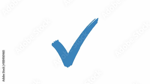Blue Check Mark Symbol Icon.
