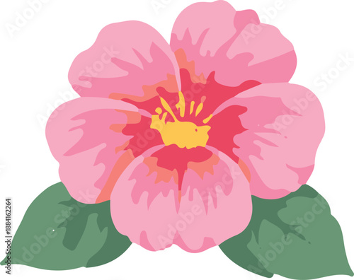 beautiful flower arrangements