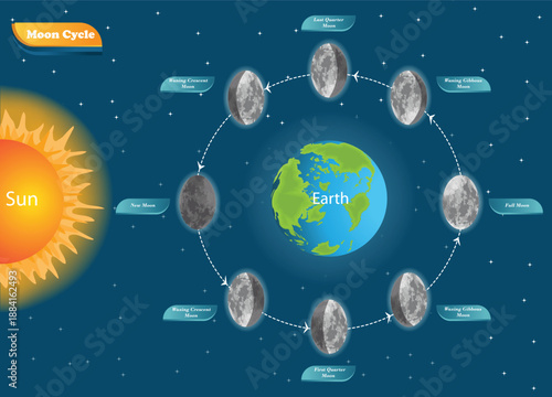 Moon Phases Cycle Diagram Showing New Moon to Full Moon Orbiting Earth with Sun Illustration.
