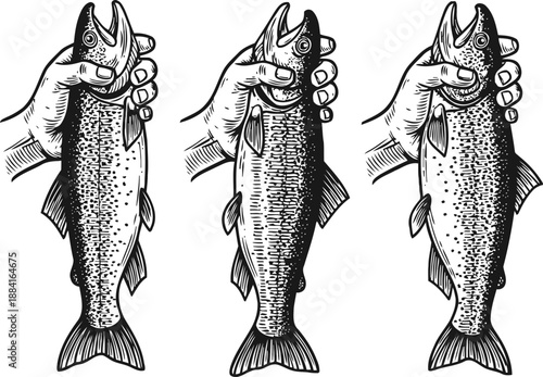 Hand holding fresh fish illustration set detailed vintage drawing of trout or salmon seafood