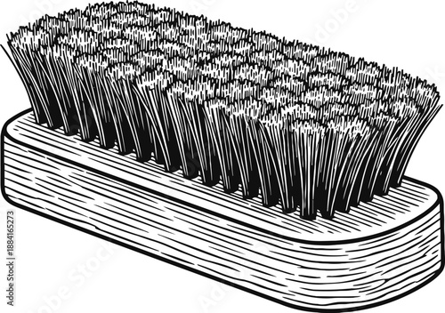 Wooden brush with dense bristles for cleaning and grooming, vintage illustration