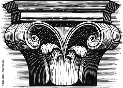 ornate ionic column capital with volutes and acanthus leaves, classical architectural detail vector