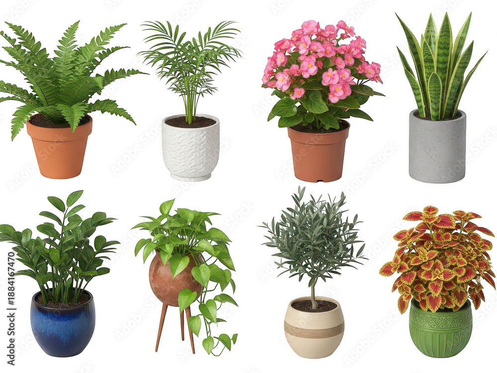 Fototapeta premium Collection of potted plants isolated on transparent background