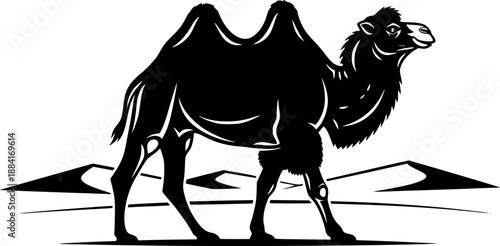 Bactrian camel with double humps for desert wildlife and nomadic transport animal concept – Black and White Vector Illustration