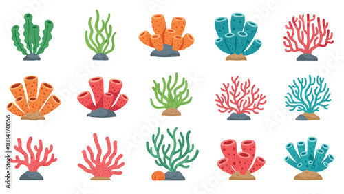 Diverse collection of colorful coral reef and sea sponge types from an underwater marine environment shown in an illustrative flat style.