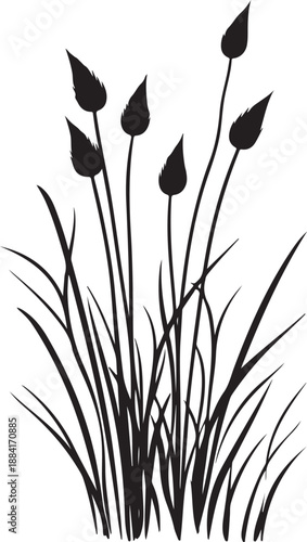 Art & IllustrationSilhouette Reed Plant 