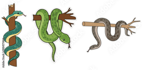 Snakes Perched on Branches: Three vividly illustrated snakes gracefully coiled around branches, representing different species, showcasing their natural habitat and adaptability.