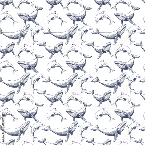 Seamless Hand Drawn Whale and Dolphin Pattern Nautical Ocean Themed Vector Background