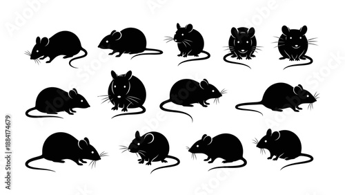 Collection of black rat silhouettes in various poses on white background.