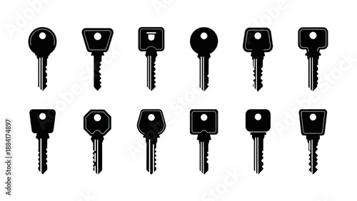 Collection of various black key shapes on white background.