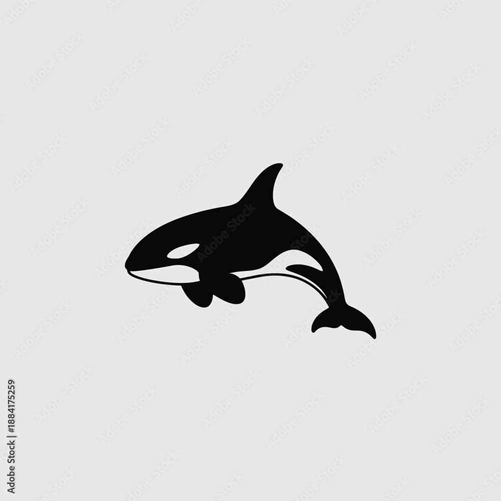 Fototapeta premium Black and white orca illustration on neutral background for various uses