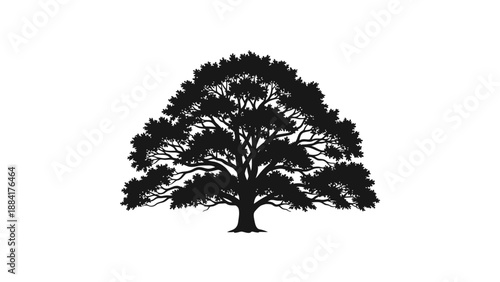 Silhouette of a majestic oak tree with intricate branches and leaves against a white background.