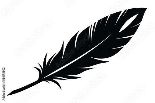 feather silhouette line art vector illustration with a white background