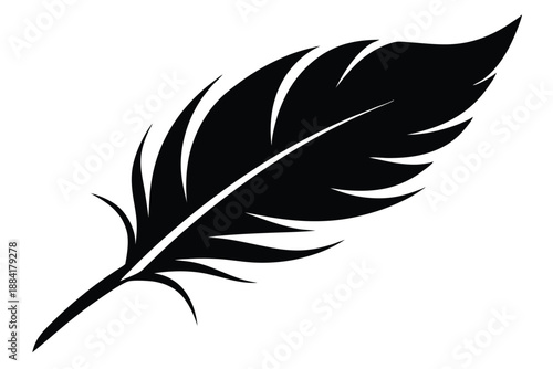 feather silhouette line art vector illustration with a white background