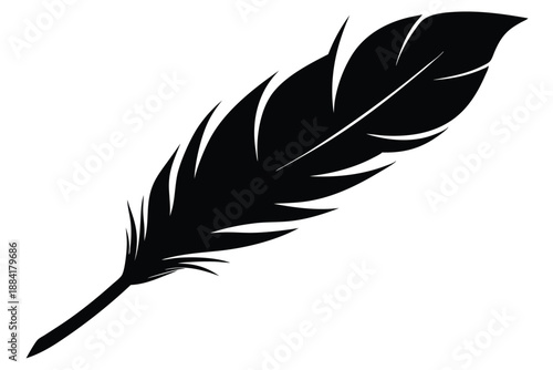 feather silhouette line art vector illustration with a white background