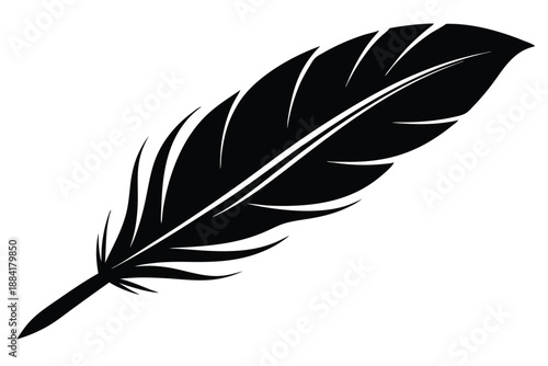 feather silhouette line art vector illustration with a white background