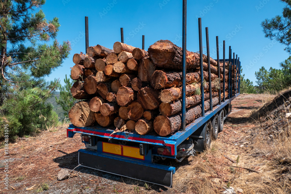 Φωτογραφία Reboque de camião carregado de troncos de madeira de pinheiro, estacionado numa